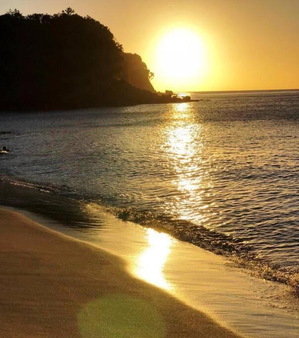 Caraibes Cottage Grenat Piscine Privee 900M De Grande Anse 德赛 外观 照片