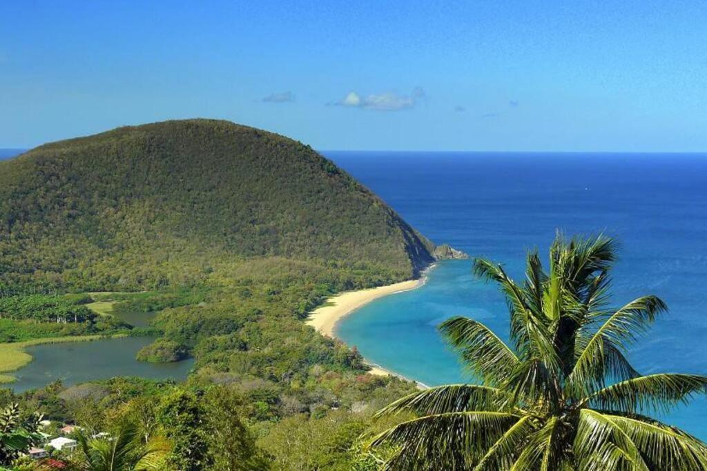 Caraibes Cottage Grenat Piscine Privee 900M De Grande Anse 德赛 外观 照片