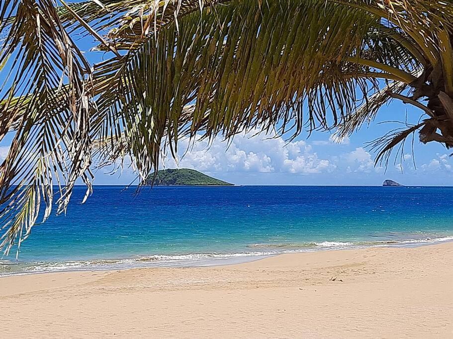 Caraibes Cottage Grenat Piscine Privee 900M De Grande Anse 德赛 外观 照片