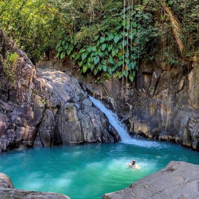 Caraibes Cottage Grenat Piscine Privee 900M De Grande Anse 德赛 外观 照片