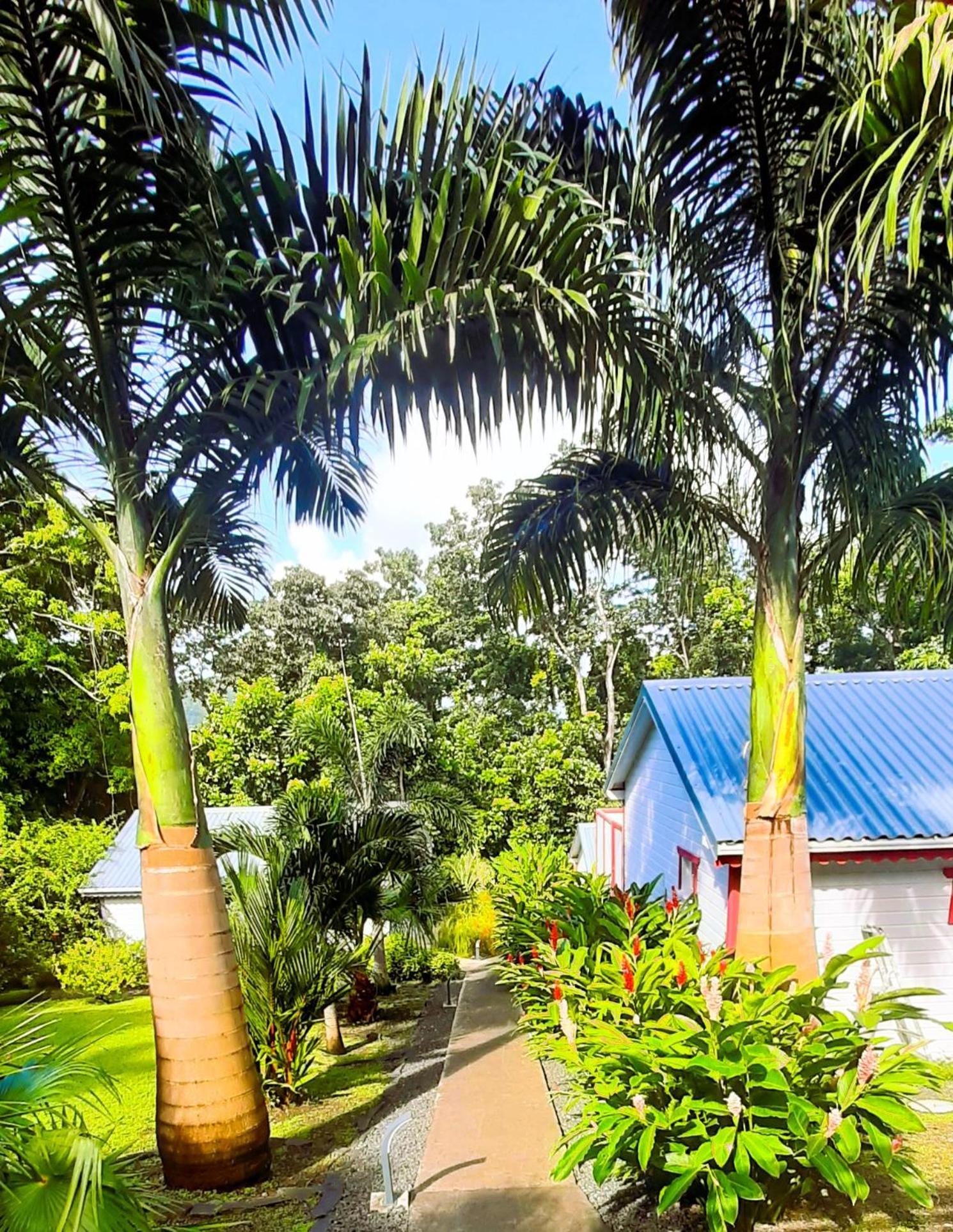 Caraibes Cottage Grenat Piscine Privee 900M De Grande Anse 德赛 外观 照片