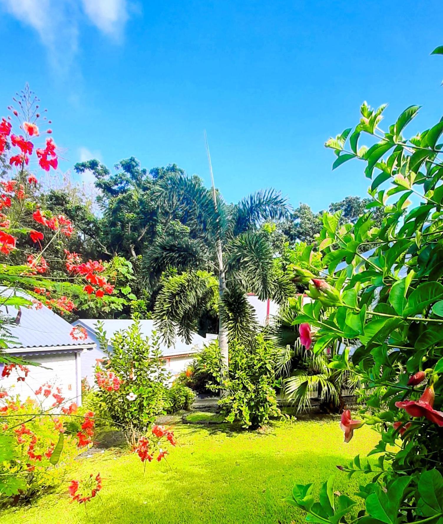 Caraibes Cottage Grenat Piscine Privee 900M De Grande Anse 德赛 外观 照片